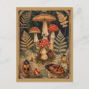Cartão Postal Cogumelos Florestais Vintage Saudação de Outono