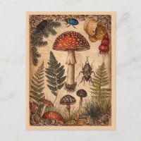 Cogumelos Samambaia Besouros Floresta Vintage