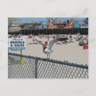 Cartão Postal Coisa da margem