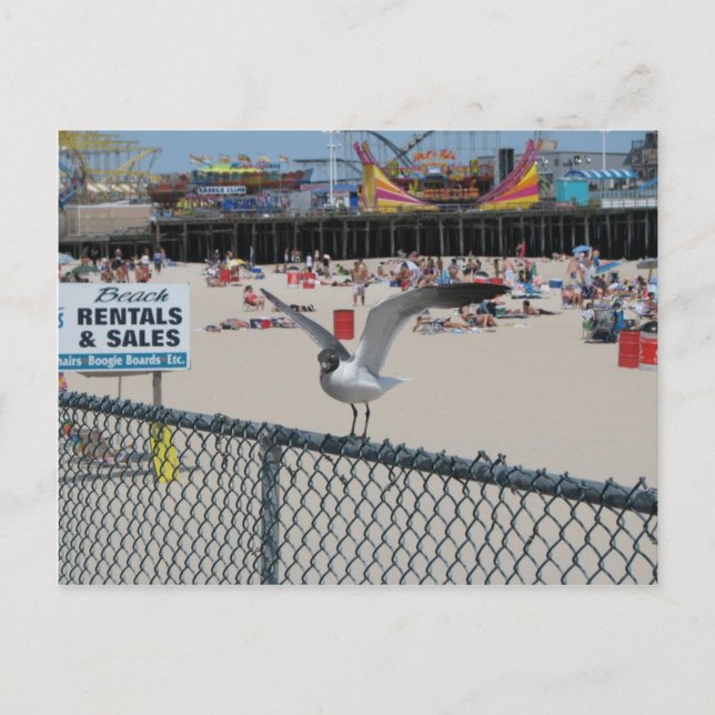 Cartão Postal Coisa da margem (Frente)