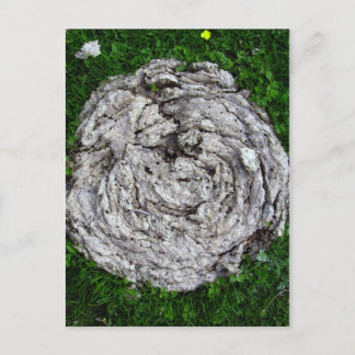 Cartão Postal Coisas de Vaca