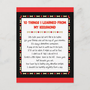 Cartão Postal Coisas Engraçadas Que Aprendi Com O Meu Keeshond