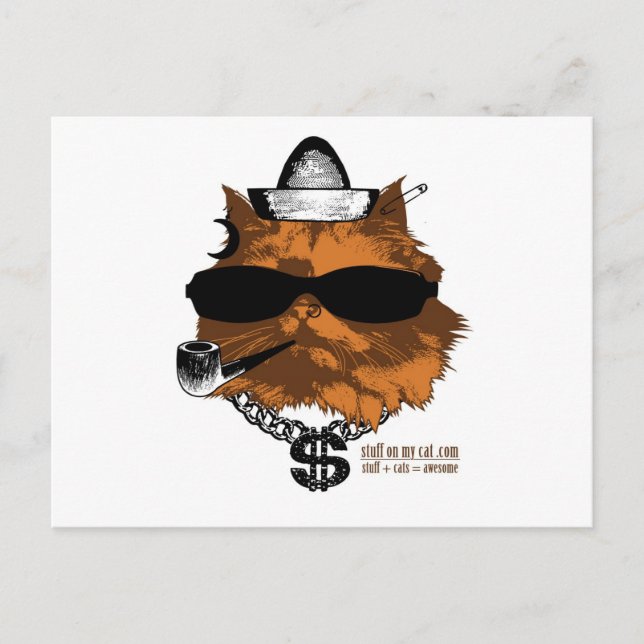 Cartão Postal Coisas no meu gato - 2 joias (Frente)