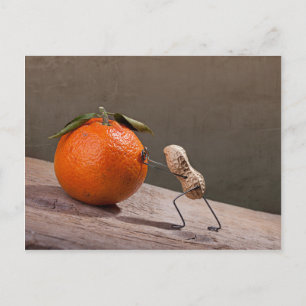 Cartão Postal Coisas Simples - Sísifos