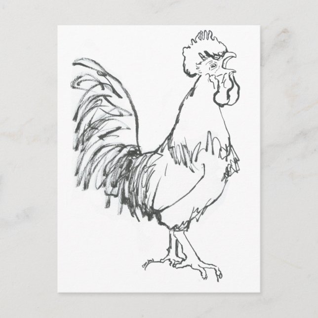 Cartão Postal Cokerel doodle (Frente)