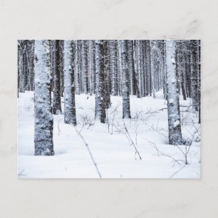 CARTÃO POSTAL COL DU MOLLENDRUZ, MONT-LA-VILLE, SUIÇA