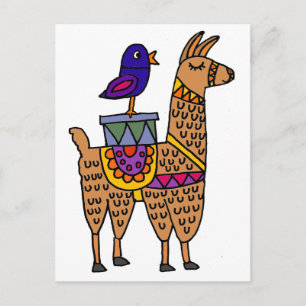 Cartão Postal Col Llama com Cobertor Colorido e Pacotes