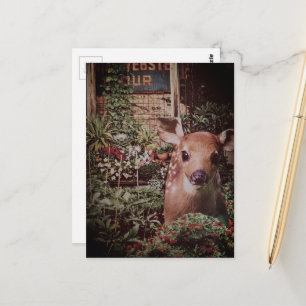 Cartão Postal Colagem Adorável de um Filhote de Veado no Jardim