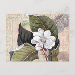 Cartão Postal Colagem Botânica Vintage com Magnolia