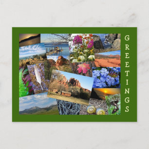 Cartão Postal Colagem da Natureza e da Vida Selvagem