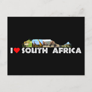 Cartão Postal Colagem de animais selvagens da Montanha mesa