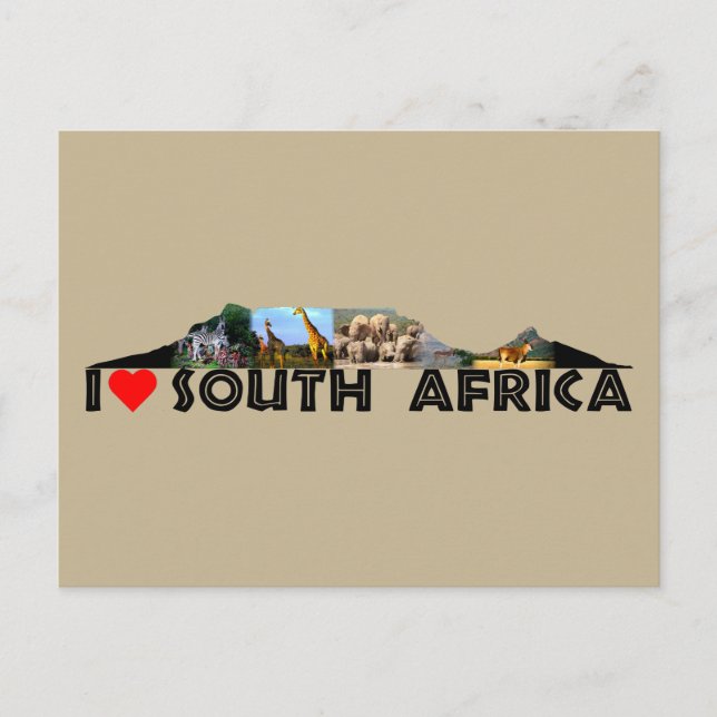 Cartão Postal Colagem de animais selvagens da Montanha mesa (Frente)