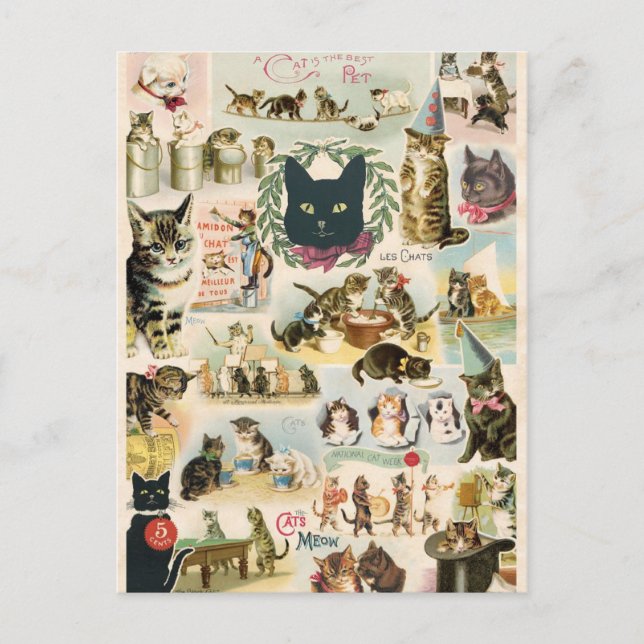 Cartão Postal Colagem de chats (Frente)