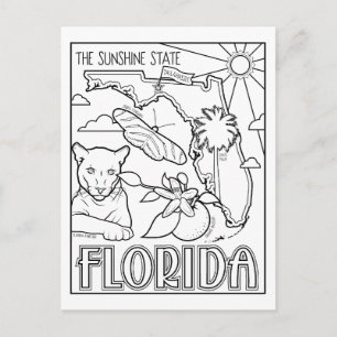 Cartão Postal colagem de cores florida