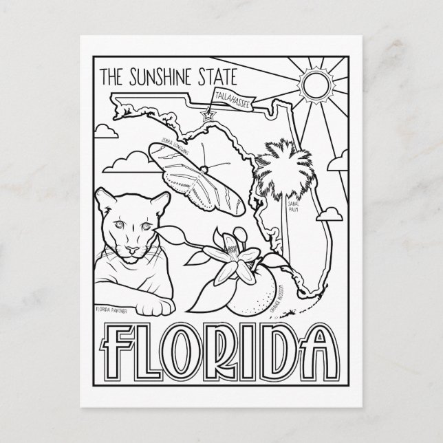Cartão Postal colagem de cores florida (Frente)