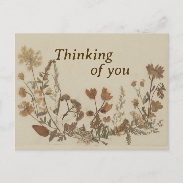 Cartão Postal Colagem de Flor Antica (Frente)