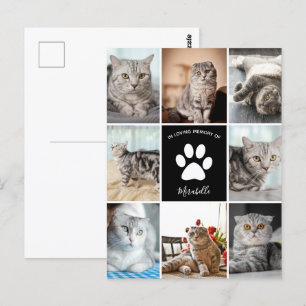 Cartão Postal Colagem de Fotos Personalizadas em Memória de Gato