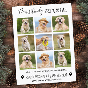 Cartão Postal Colagem de Fotos Pet De Cães, Pawsitivamente Melho