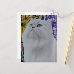 Cartão Postal Colagem de Gato Branco Bonito em Flores