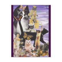 Colagem de Gato Fofo 4