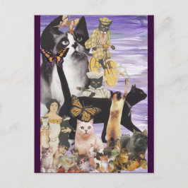 Cartão Postal Colagem de Gato Fofo 4