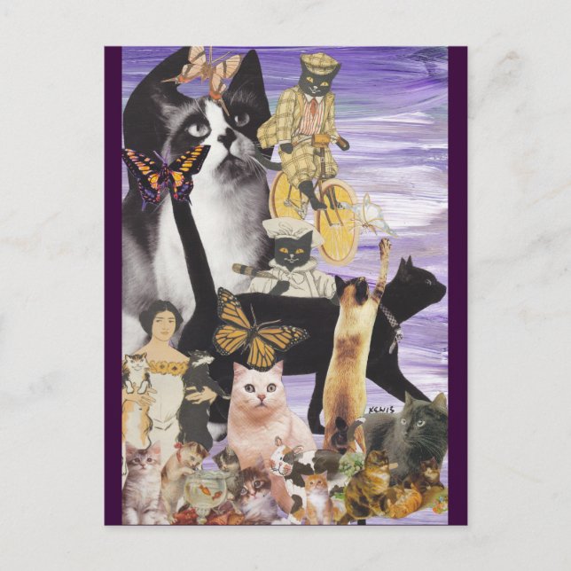 Cartão Postal Colagem de Gato Fofo 4 (Frente)