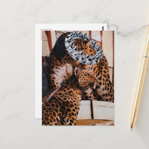 Cartão Postal Colagem de Grandes Felinos Reais