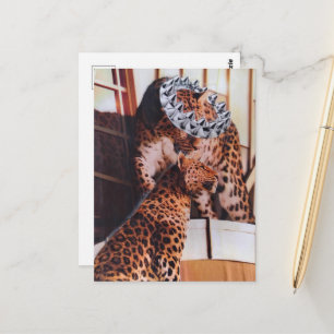 Cartão Postal Colagem de Grandes Felinos Reais