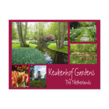 Colagem de Jardins Keukenhof