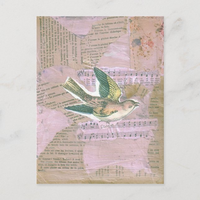 Cartão Postal Colagem de Mídia Mista de Aves (Frente)
