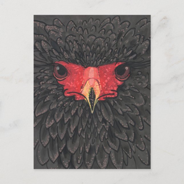 Cartão Postal Colagem de Papel Retrato de Aves da África Bateleu (Frente)