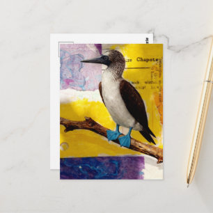 Cartão Postal Colagem de Pássaro de Pé Azul