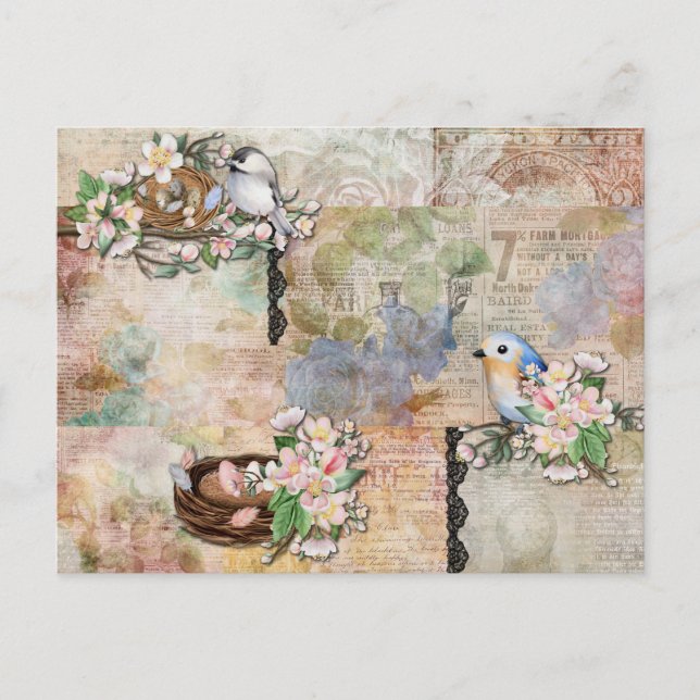 Cartão Postal Colagem de Pássaros e Efémeras Vintage (Frente)