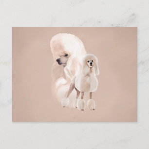 Cartão Postal Colagem de Pastel de Poodle Branco Elegante