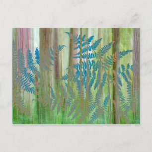 Cartão Postal Colagem de samambaia e floresta Seabeck, WA