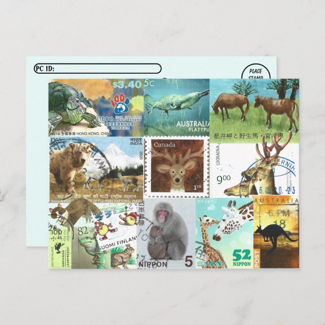 Cartão Postal Colagem de Selos Postais Internacionais de Animais (Frente/Verso)