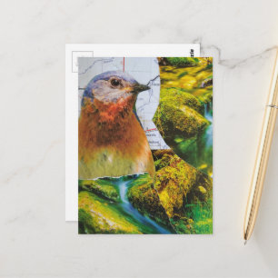 Cartão Postal Colagem do Mapa da Floresta do Pássaro Azul