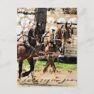 Cartão Postal Colagem Mídia Mista de Dois Cavalos