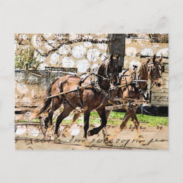 Cartão Postal Colagem Mídia Mista de Dois Cavalos