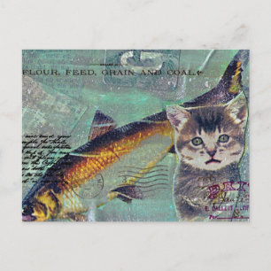 Cartão Postal Colagem Mídia Mistura de Peixes de Gato