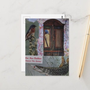 Cartão Postal Colagem Retro de Pássaros e Peixes