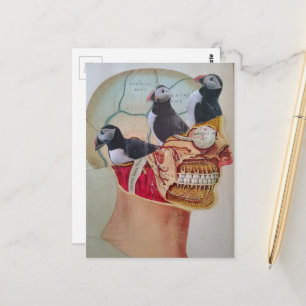 Cartão Postal Colagem surreal de mídia mista Birds on the Brain