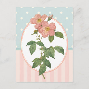 Cartão Postal Colagem Vintage Rosas Rosa-Rosa Impressão Botâni