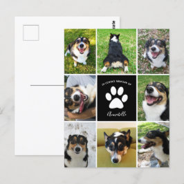 Cartão Postal Colar de Cachorro Personalizado Memorial de Estima