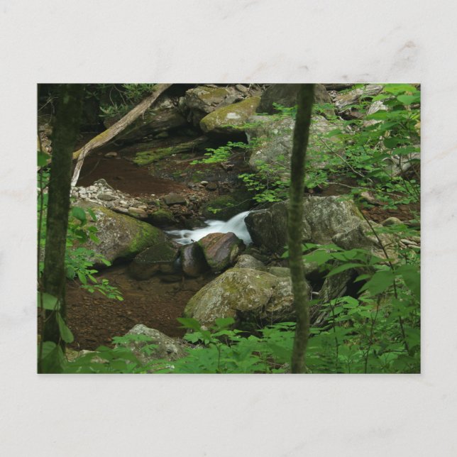 Cartão Postal Cold water (Frente)