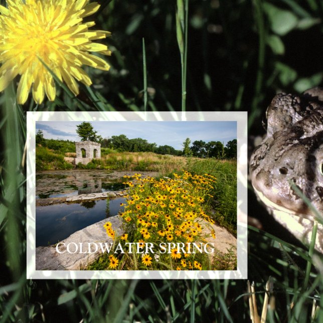 Cartão Postal Coldwater Primavera Park, Rio Nacional do Mississi (Criador carregado)