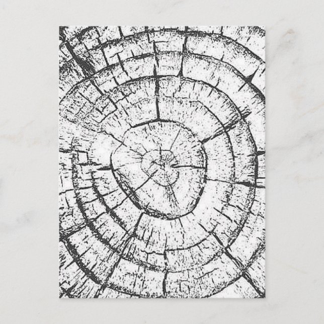 Cartão Postal Coleção Contemporânea de Tronco de Árvore Preta e  (Frente)