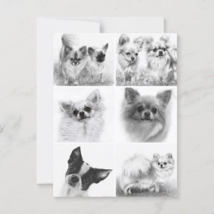 Cartão Postal Coleção de Arte Chihuahua Pintou Trabalho de arte