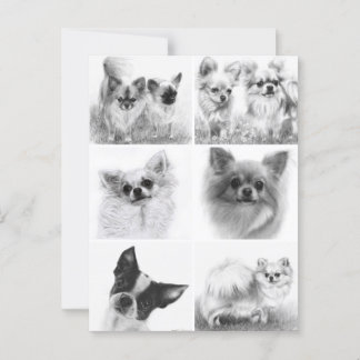 Cartão Postal Coleção de Arte Chihuahua Pintou Trabalho de arte