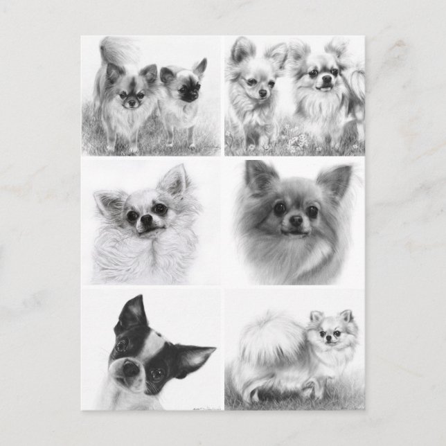 Cartão Postal Coleção de Arte Chihuahua Pintou Trabalho de arte (Frente)